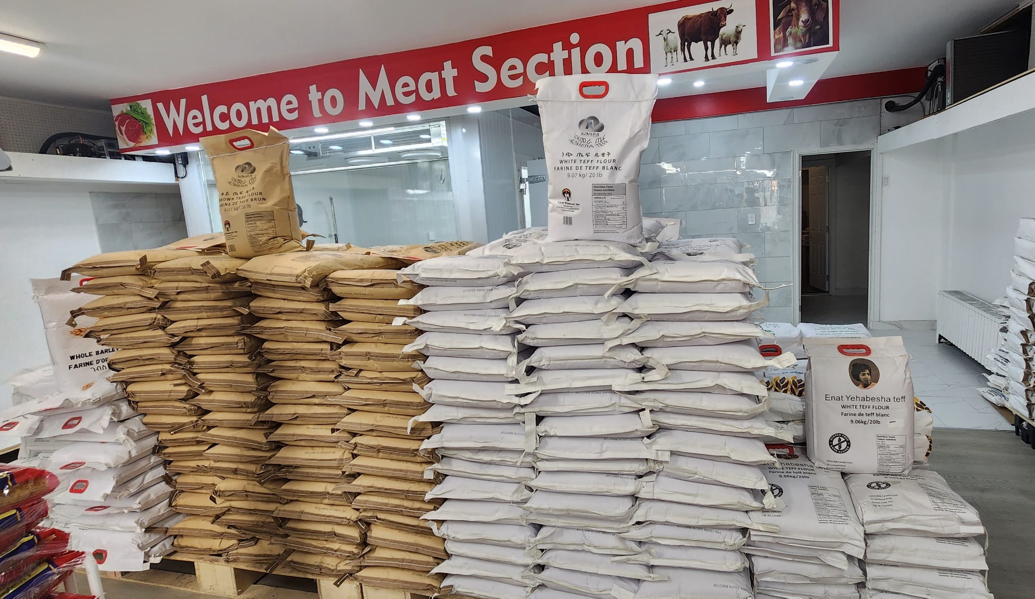 Stacked Teff flours Display